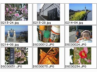Index image